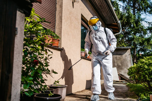 Wildlife Control Services in South Lockport, NY