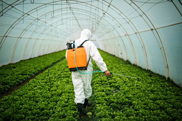 Best Pest Control Near Me  in South Lockport, NY