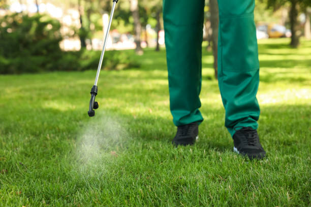 Best Best Pest Control Companies  in South Lockport, NY