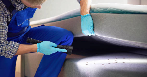 Best Ant Control Services  in South Lockport, NY