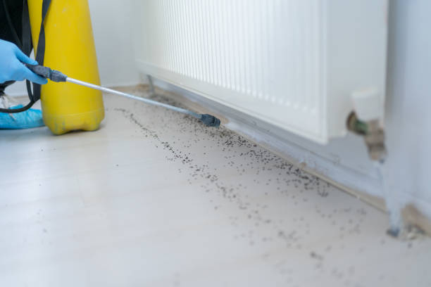 South Lockport, NY Pest Control Company